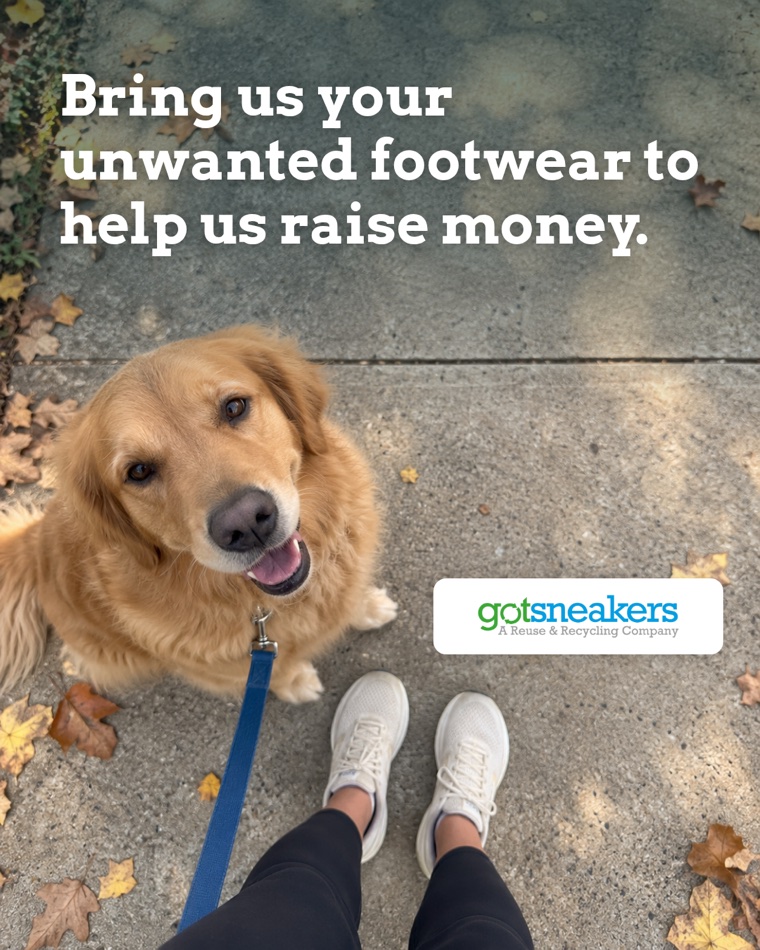 GotSneakers Dog drive post